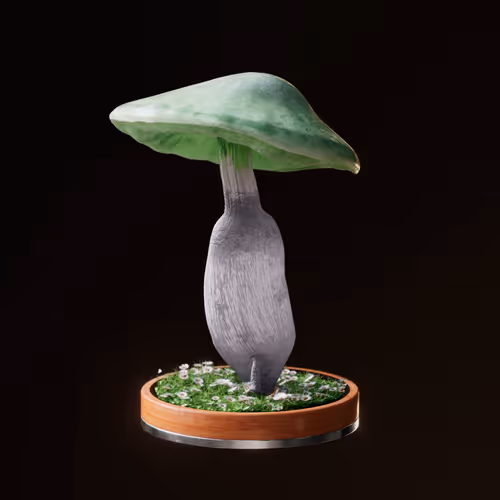 Item #6581 Media