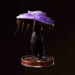 Fungi #1834