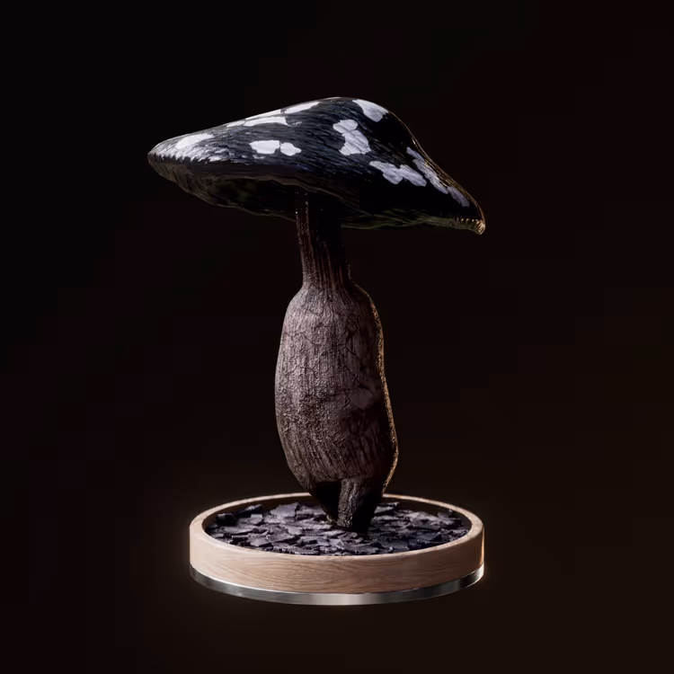 Fungi #6094