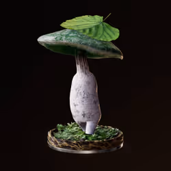 Fungi #2199