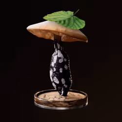 Fungi #7585