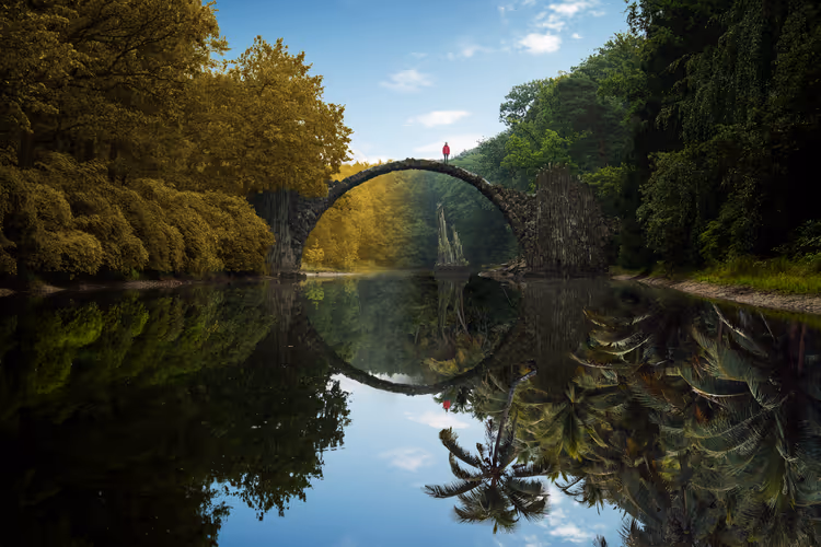 Reflection #887