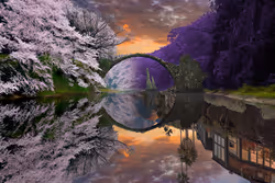 Reflection #755
