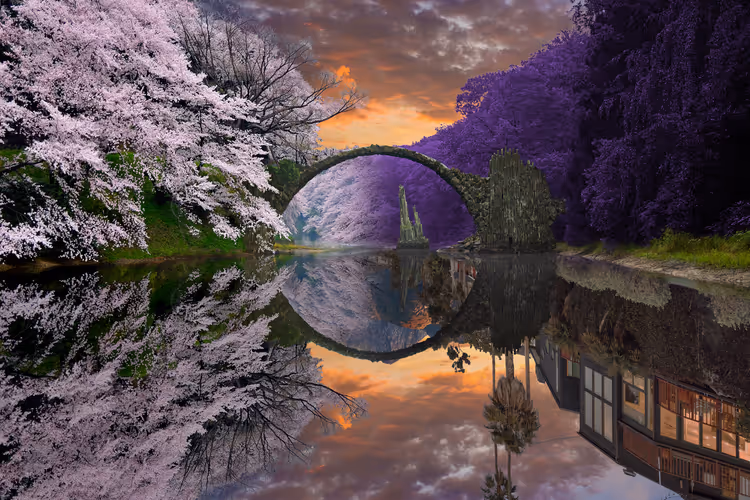 Reflection #755