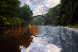 Reflection #119