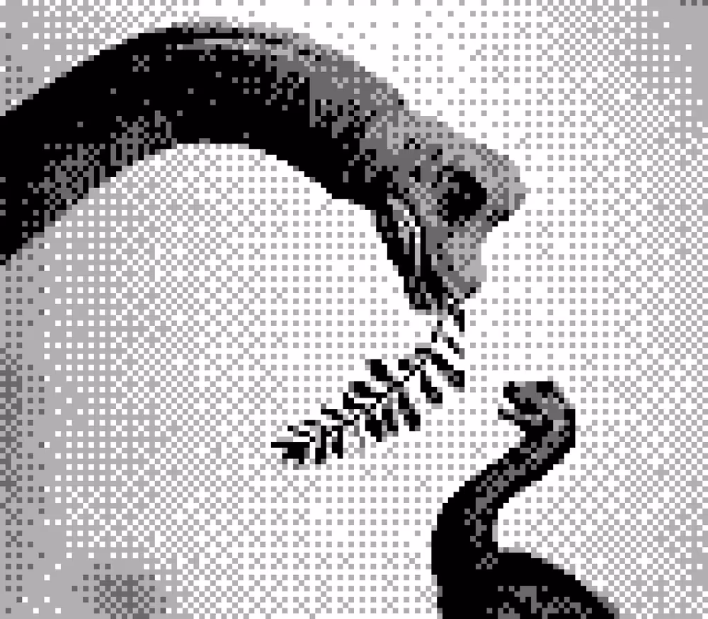 Item Media