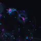Signal Geometry - Alive #1166