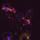 Signal Geometry - Alive #1160