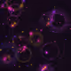 Signal Geometry - Alive #1171