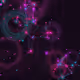 Signal Geometry - Alive #296