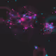 Signal Geometry - Alive #1162
