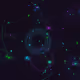 Signal Geometry - Alive #1157
