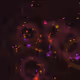 Signal Geometry - Alive #1154