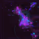 Signal Geometry - Alive #320