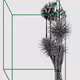 Marfa Yucca #34