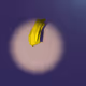 Banana Circles