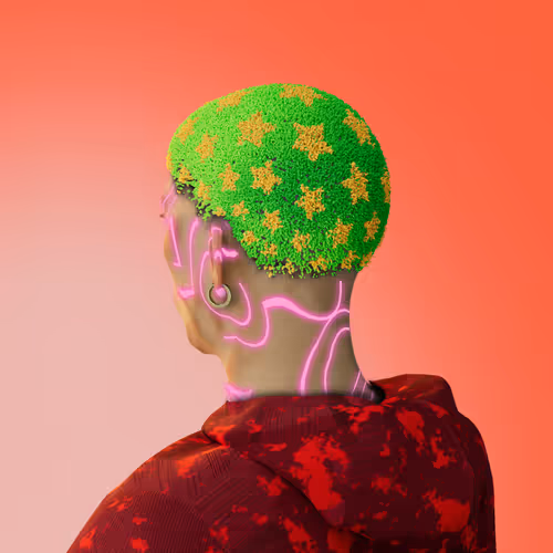 preview