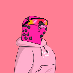 Gutter Pigeon #2342