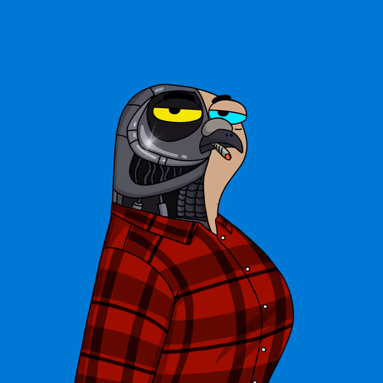 Gutter Pigeon #2471