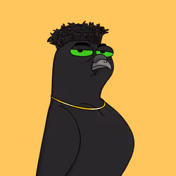Gutter Pigeon #2547