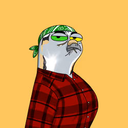 Gutter Pigeon #458