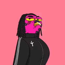Gutter Pigeon #2504