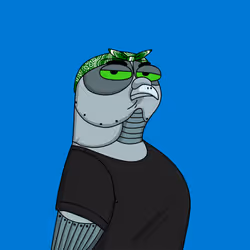 Gutter Pigeon #708