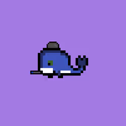 Weird Whales 2576