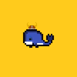 Weird Whales 686