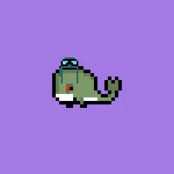 Weird Whales 710