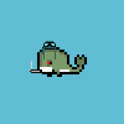 Weird Whales 732