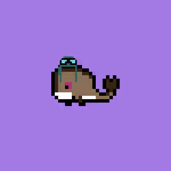 Weird Whales 2669