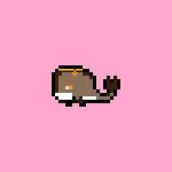 Weird Whales 3007