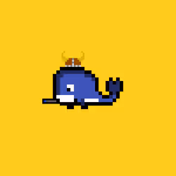 Weird Whales 37