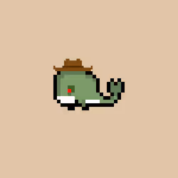 Weird Whales 778