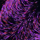 656