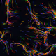 897