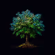 222