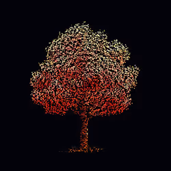 91