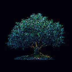 93