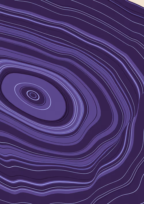 Item #443000251 Media