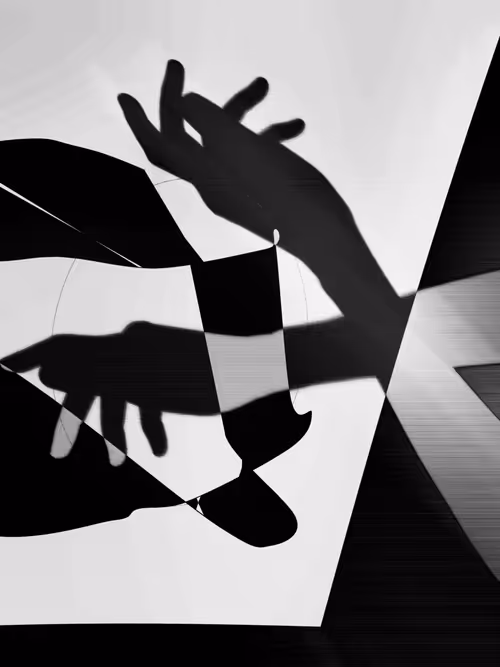 Item #455000165 Media