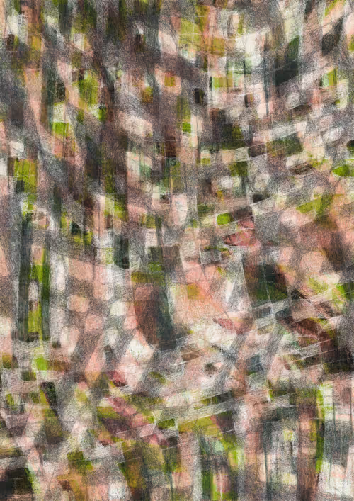 Item #409000024 Media