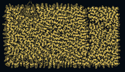 Item #456000249 Media