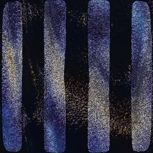 Item #416000082 Media