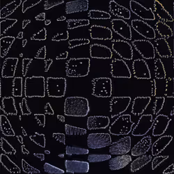 416000002