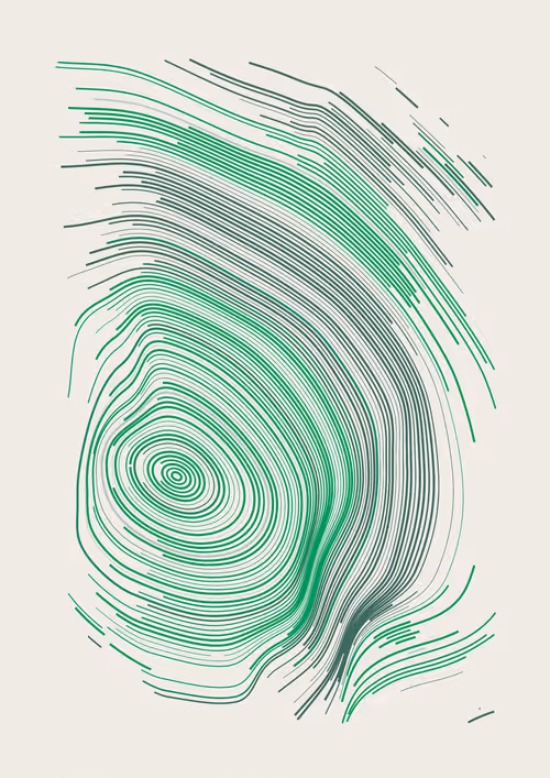 Item #443000249 Media