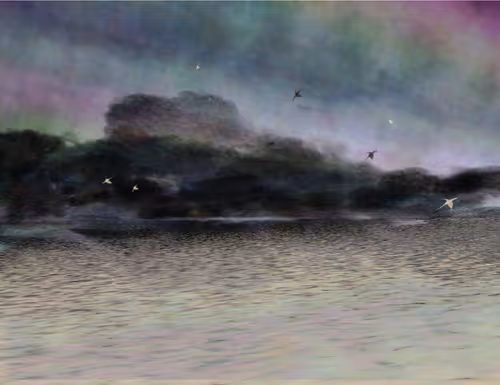 Item #459000006 Media