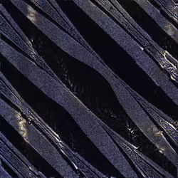 416000244