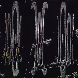 416000051